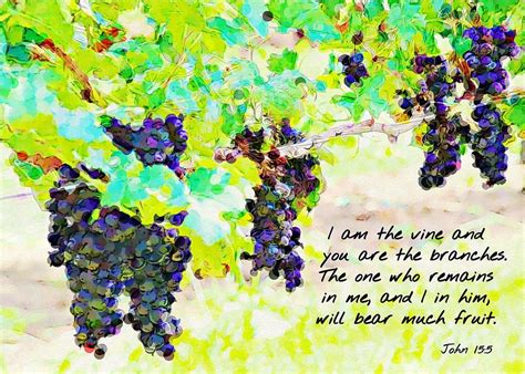 I Am The Vine And You Are The Branches Photograph by Cathy Lindsey ...