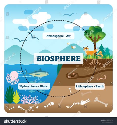 104,144 Biosphere Royalty-Free Images, Stock Photos & Pictures ...