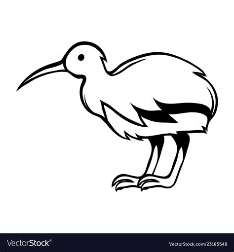 Black and white bird kiwi Royalty Free Vector Image