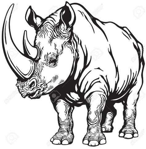 free printable rhino coloring pages for adults - Google Search | Rhino ...