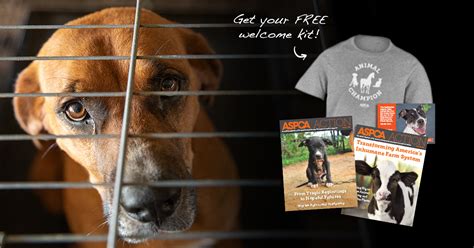 You Can Help Save Animals Today! | ASPCA