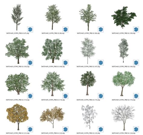 7583. Free Sketchup Trees Model Download