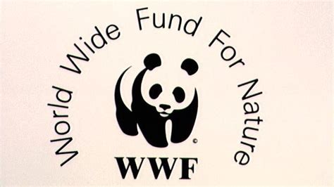 World Wildlife Fund Logo