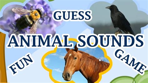 Animal Sounds, Guess The Animal By The Sound, A Fun Game For Kids ...