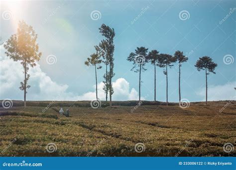 Telaga Saat Puncak Cisarua Bogor Indonesia Stock Photo - Image of saat ...