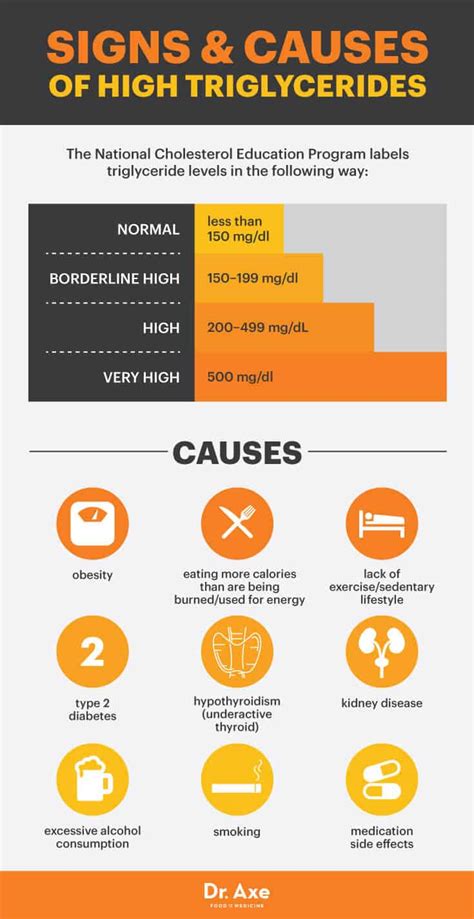 What High Triglycerides Mean for Your Heart & How to Lower ...