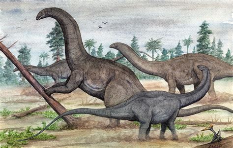 Prehistoric Beast of the Week: Apatosaurus: Beast of the Week