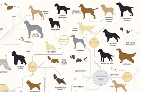 The Family Tree of DOGS — The Joodlum Group