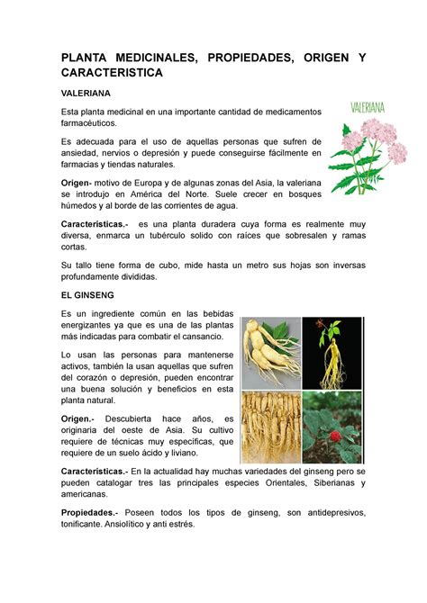 Historia Del Uso De Las Plantas Medicinales - Image to u