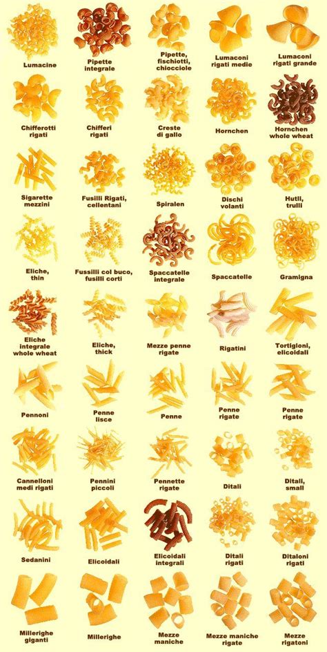 A Wide Variety of Sides | Pasta restaurants, Pasta types, Pasta shapes