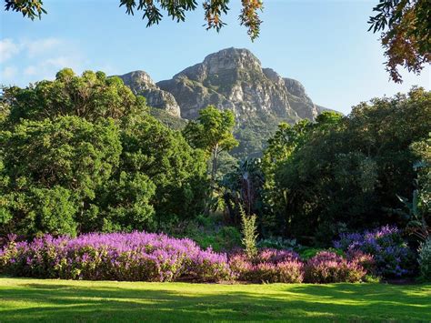 Gardens Cape Town South Africa Kirstenbosch Botanical Gardens - The Art ...