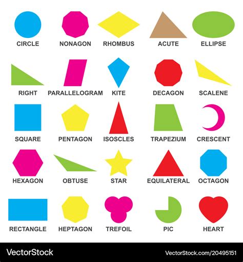 Educational geometric shapes set understanding of Vector Image