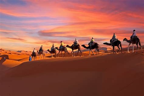 2-Day Tunisia Sahara Desert Camel Trek from Douz 2023 - Viator