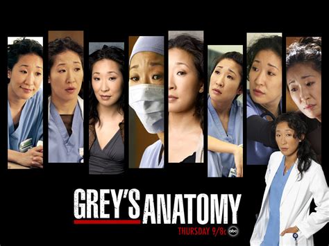 Grey's Anatomy Cast - Grey's Anatomy Wallpaper (1257048) - Fanpop