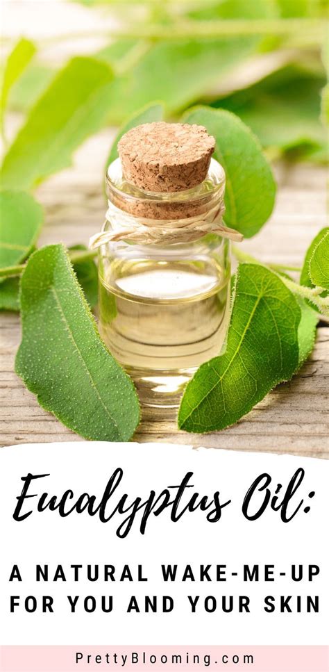 Eucalyptus Oil: A Natural Wake-me-up For You and Your Skin [History ...