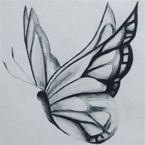 Butterfly Sketch Drawings at PaintingValley.com | Explore collection of ...