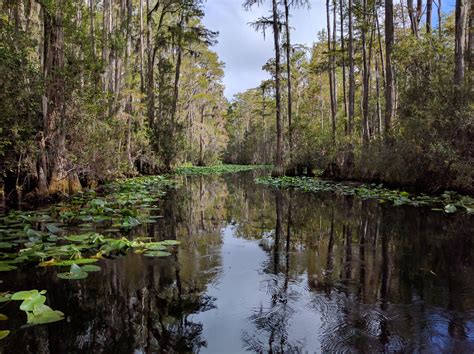 Across Georgia – Atlanta to the Okefenokee Swamp – The Destinators