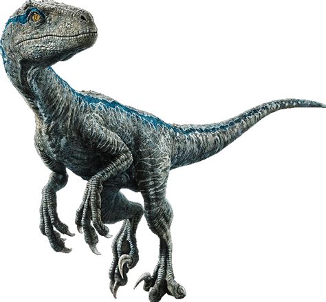 Download Velociraptor - Jurassic World El Reino Caído Dinosaurios ...