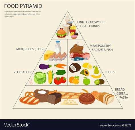 Food Pyramid Healthy Eating Infographic