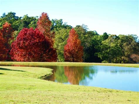 Gibraltar Hotel Bowral Golf Course | NSW Government