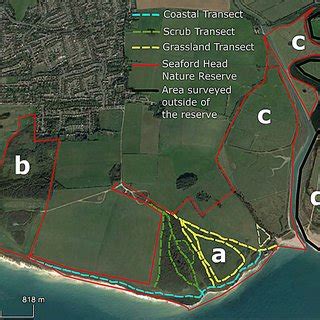 Survey area within the Seaford head nature reserve and all transects ...