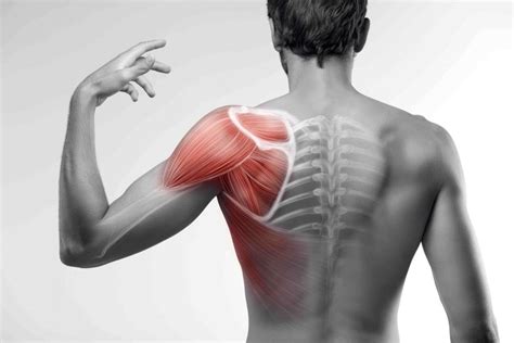 Shoulder Surgery in Dallas/ Fort Worth Area - Spine Specialist - Surgeon