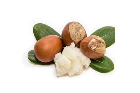 Shea Butter Organic and Refined - Enviromart - Enviromart