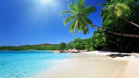 20 Best Beaches In Vietnam For A Tropical Vacation In 2024