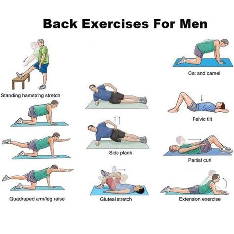 Back Exercises For Men | Exercise | Pinterest | Magazines, Back ...