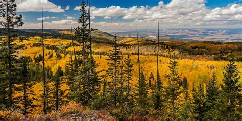 Camping near Cedaredge, Collbran and the Grand Mesa, Colorado