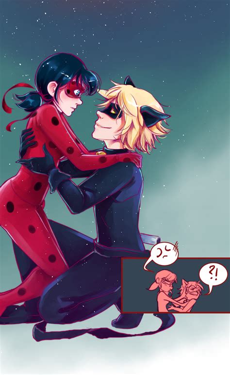 LadyNoir | Miraculous Ladybug | Know Your Meme