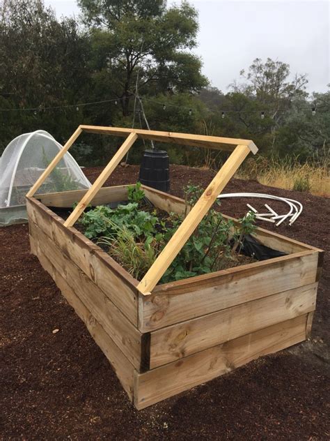 Protecting my produce with raised garden bed covers – Wide Open Mind ...