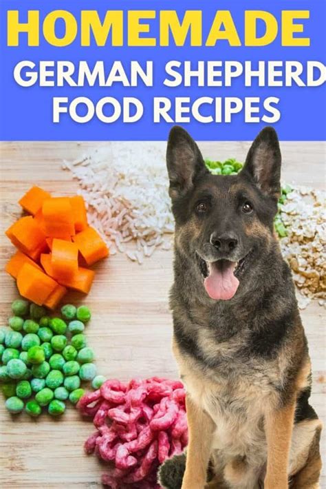 German Shepherd Homemade Food Recipes - Oodle Life