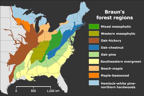 Temperate Deciduous Forest Map Us