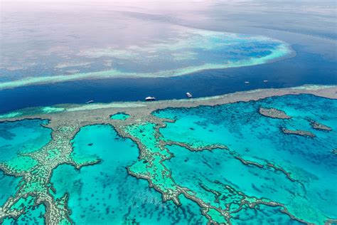 Will Australia's Great Barrier Reef lose its UNESCO status? | Daily Sabah