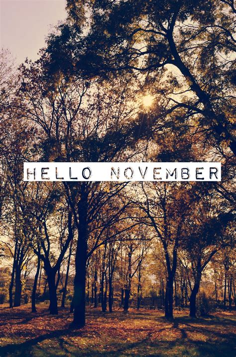 Hello November Wallpapers - Top Free Hello November Backgrounds ...