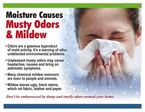 How to get rid of musty smell? - TheDehumidifierExperts