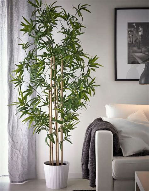 Plantas artificiales decorativas para decorar tu casa