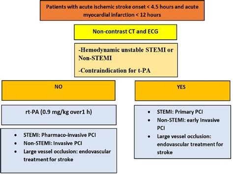 Treatment of type 1 cardio-cerebral infarction syndrome. | Download ...