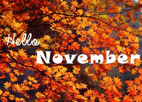 #hellonovember #november #fall #rollerlite | Autumn scenes, Fall ...