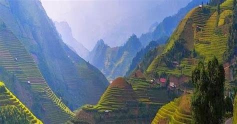 Rice Terrace, Mù Cang Chải District, Vietnam | Destinations, Tour du ...