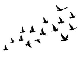 Flying Mockingbird Silhouette