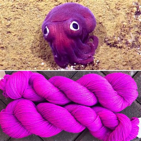 Purple Squid: Meet this weird and striking creature