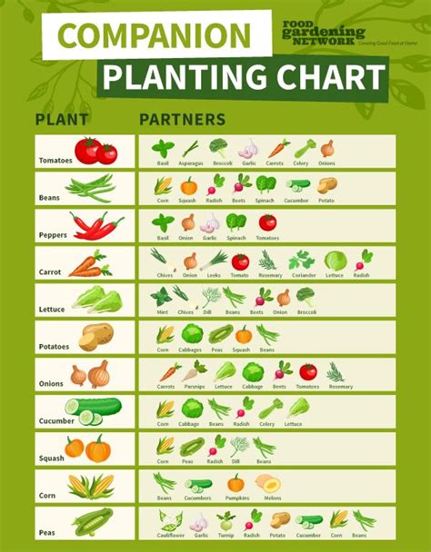 A Printable Companion Planting Chart | Garden companion planting ...