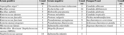 List of gram positive bacteria, gram-negative bacteria, and ...