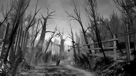 creepy forest wallpaper,nature,black and white,tree,monochrome ...