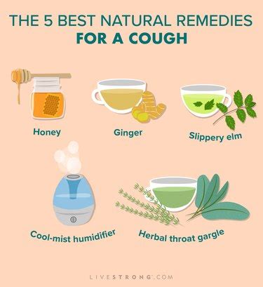 The 5 Best Natural Remedies for a Cough, According to a Doctor | livestrong