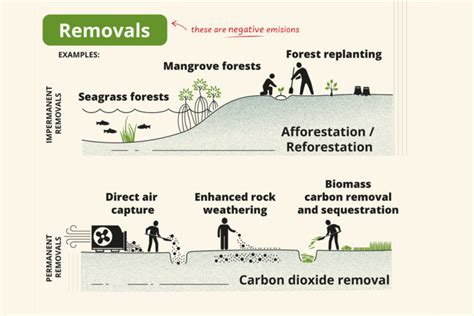 Carbon offsets: A key tool for climate action, or a license to emit?