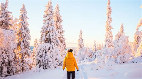 The Best Time Of Year To Experience All The Winter Activities Sweden ...