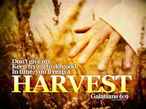 Christian Quotes About Harvest. QuotesGram